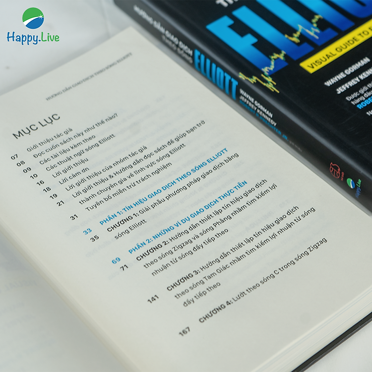 Hướng Dẫn Giao Dịch Theo Sóng Elliott - Visual Guide to Elliott Wave Trading - Ảnh 4