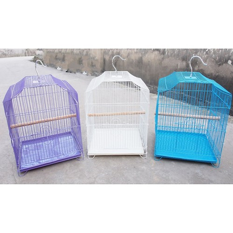 Lồng chim sơn tĩnh điện (Giao màu ngẫu nhiên)