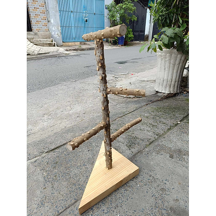 1 cầu đứng gỗ gạo siêu cứng cáp (CDGG01) đề cho chim, vẹt đứng (đế ngẫu nhiên) cao 55-58cm