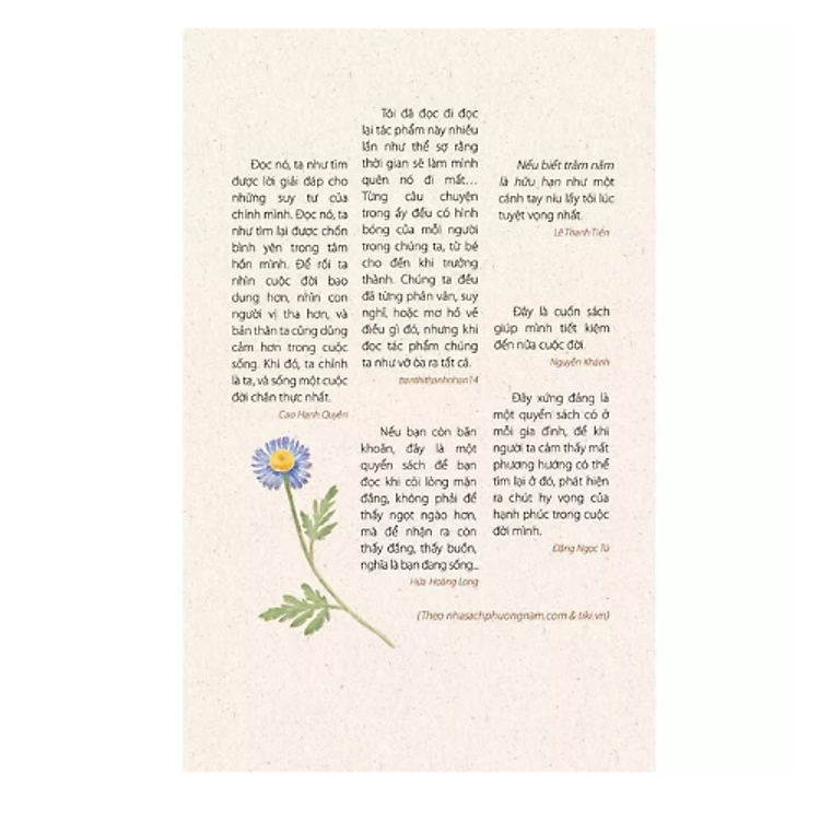 Nếu Biết Trăm Năm Là Hữu Hạn - Ấn Bản Kỷ Niệm 10 Năm Xuất Bản (Tái Bản) - Ảnh 2