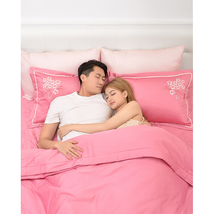 Bộ chăn gối Sông Hồng SH_UC23 Chính hãng Giá tốt - Hình ảnh 3