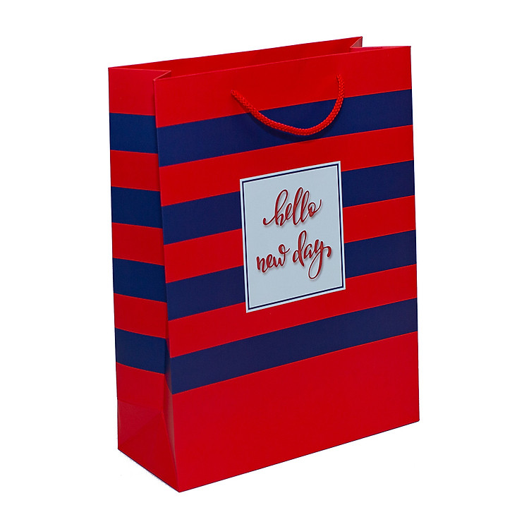 Túi Dây Sơ Mi TT115 (36 x 27 x 11 cm) - Ảnh 3