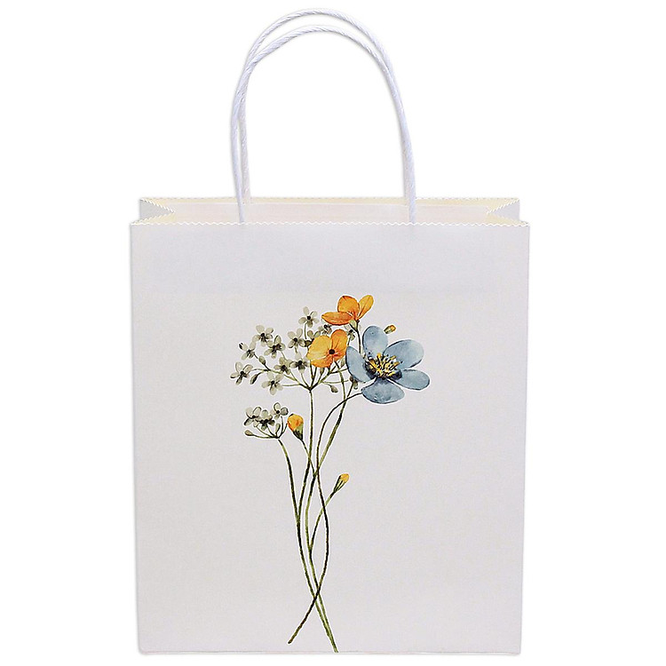 Túi Giấy Kraft (22 x 25 x 8 cm) - Ảnh 5