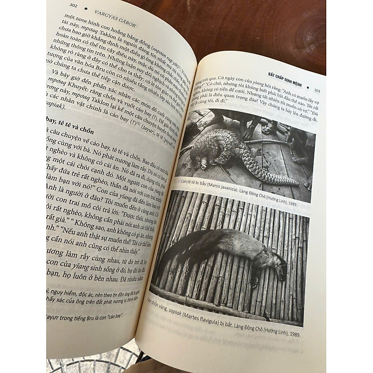 BẤT CHẤP ĐỊNH MỆNH - Văn Hóa Và Phong Tục Tập Quán Người Bru - Vân Kiều - Ảnh 3