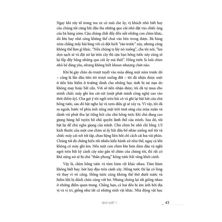 12 Quy Luật Cuộc Đời: Thần Dược Cho Cuộc Sống Hiện Đại - Ảnh 3