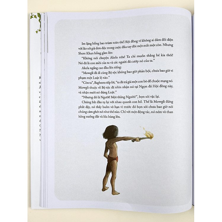 Chuyện Rừng Xanh (Phiên Bản Tranh Minh Họa) - Ảnh 7