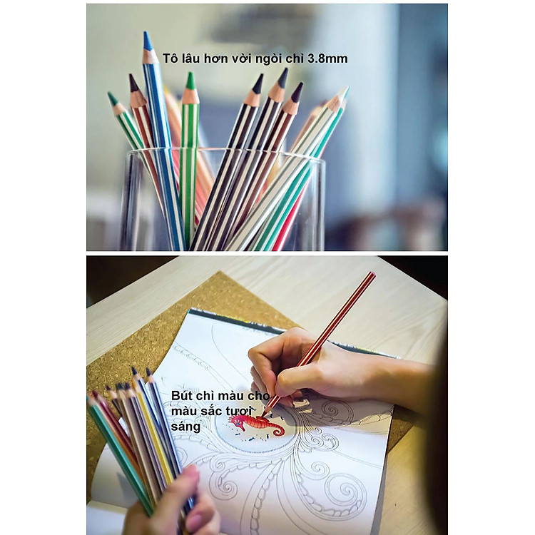 Bộ Chì Màu Swans 24 Màu (Hộp 24 màu) - Ảnh 5