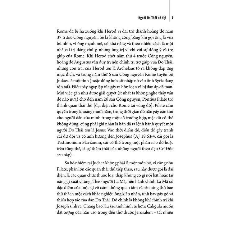Người Do Thái Cổ Đại (Trọn Bộ 2 Tập) - Ảnh 5