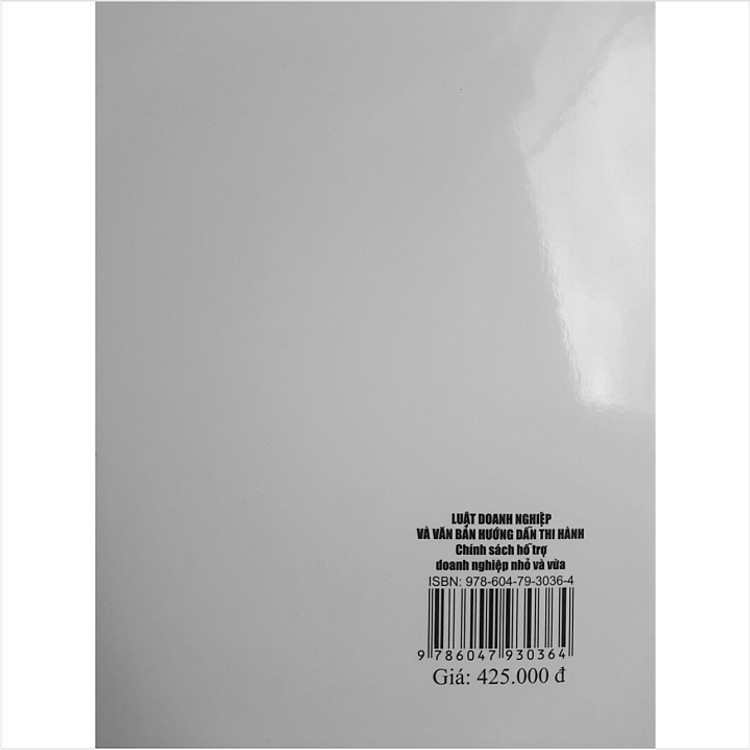 Luật Doanh Nghiệp và Văn Bản Hướng Dẫn Thi Hành Chính Sách Hỗ Trợ Doanh Nghiệp Nhỏ và Vừa - Ảnh 6