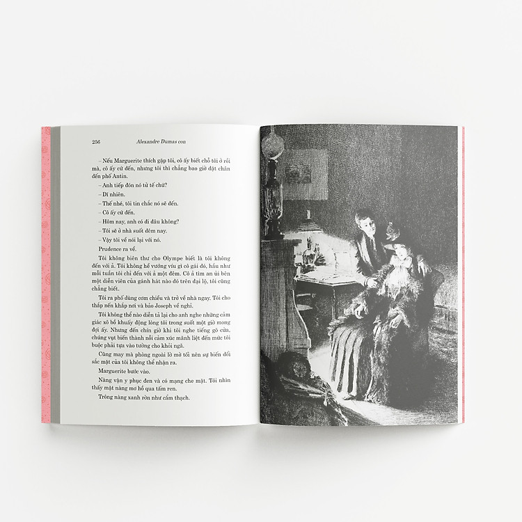 Trà hoa nữ - Ảnh 5