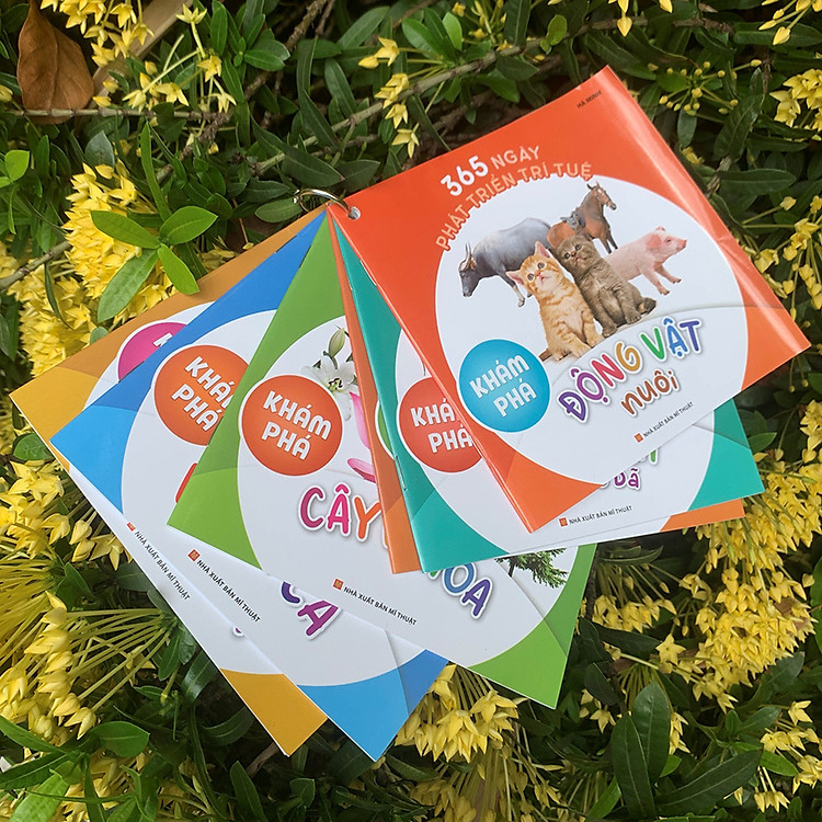 365 Ngày Phát Triển Trí Tuệ - Ảnh 2