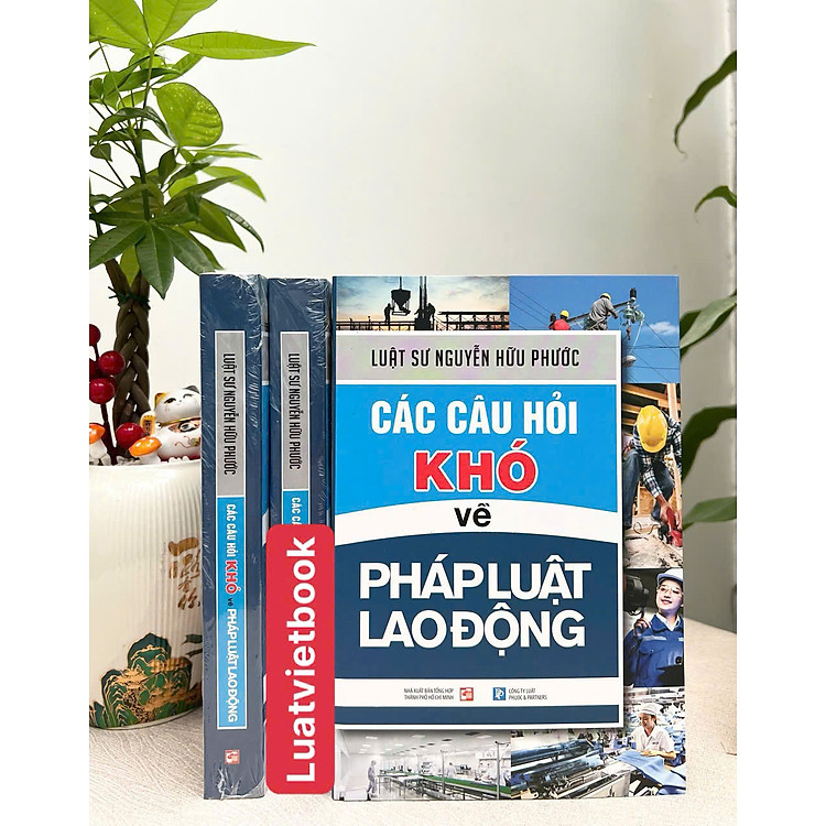 Câu Hỏi Khó Về Pháp Luật Lao Động - Ảnh 2