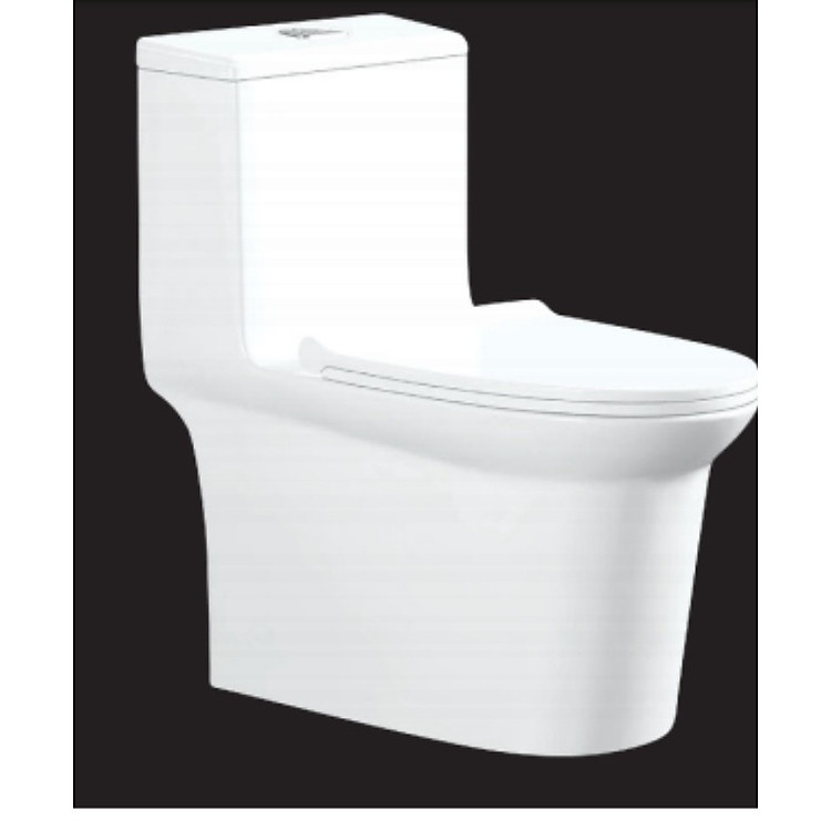 Bồn cầu 1 khối thương hiệu RHENWARE CB-931