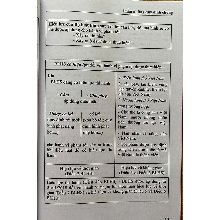 Mô Hình Luật Hình Sự Việt Nam - Ảnh 7