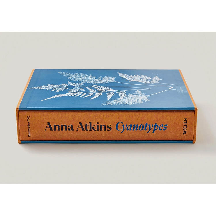 Anna Atkins: Cyanotypes - Ảnh 5