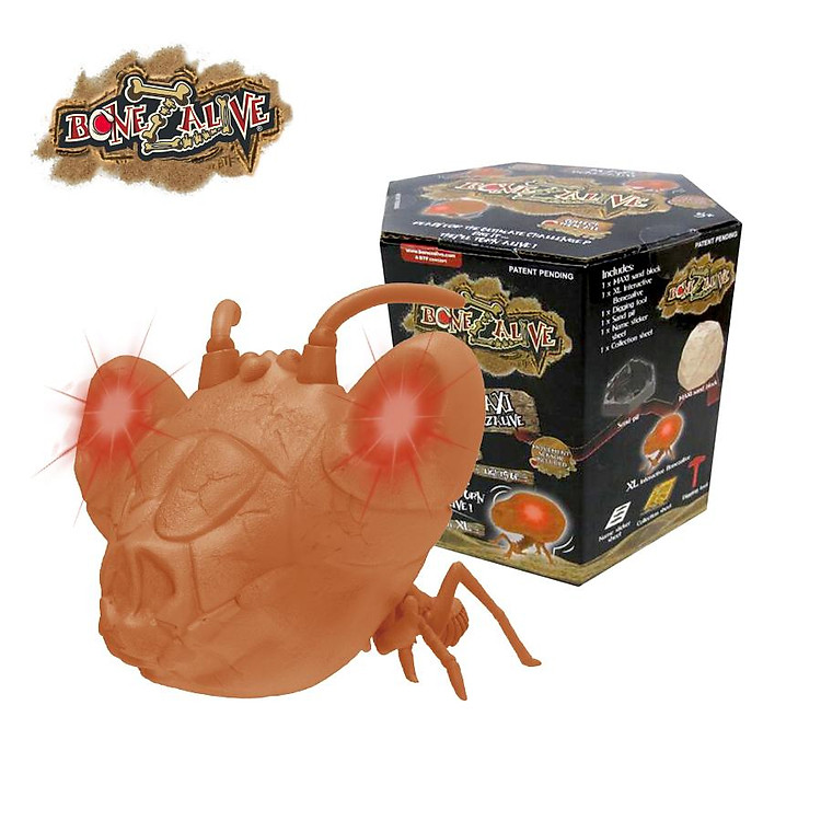 Mua BONEZALIVE Bộ Khảo Cổ Khai Quật Chính hãng Ưu đãi - Hình ảnh 5