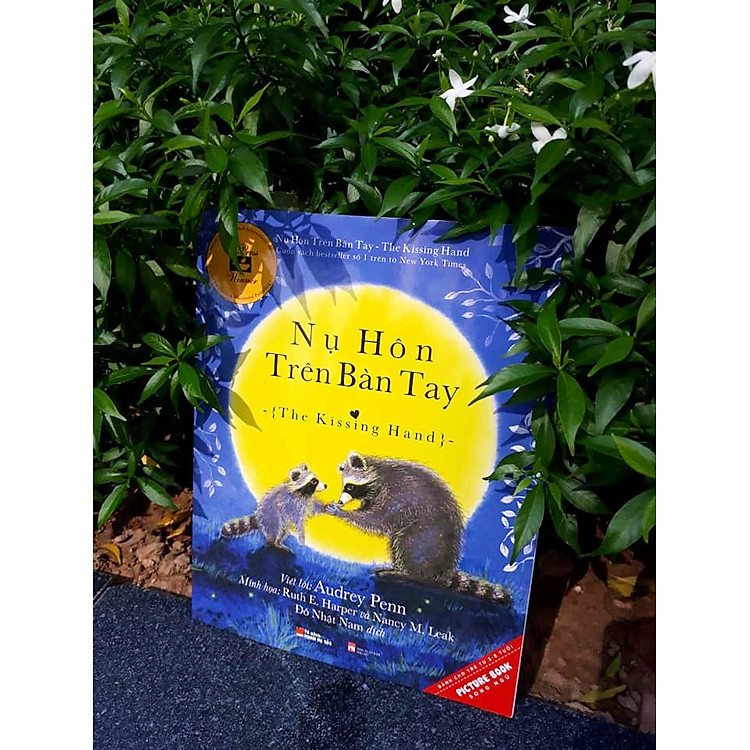 Những Câu Chuyện Về Gấu Mèo Chester – Nụ Hôn Trên Bàn Tay