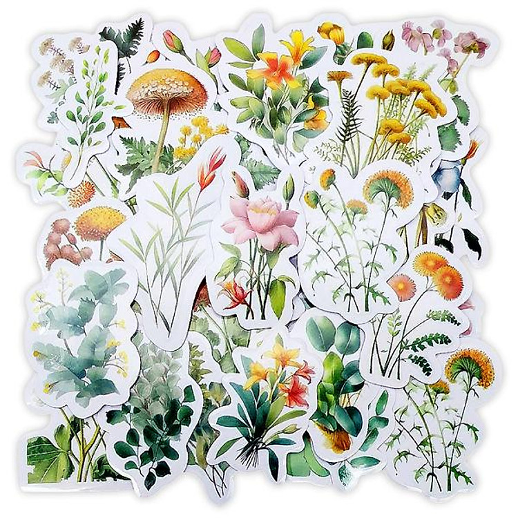 Sticker Đa Năng Teenage CTE-067 - Ảnh 2