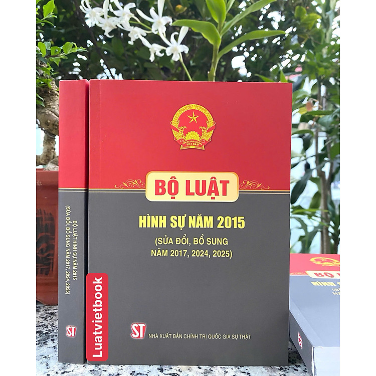 Mua tại Lazada: Bộ Luật Hình Sự Năm 2015 (Sửa Đổi, Bổ Sung Năm 2017, 2024, 2025)