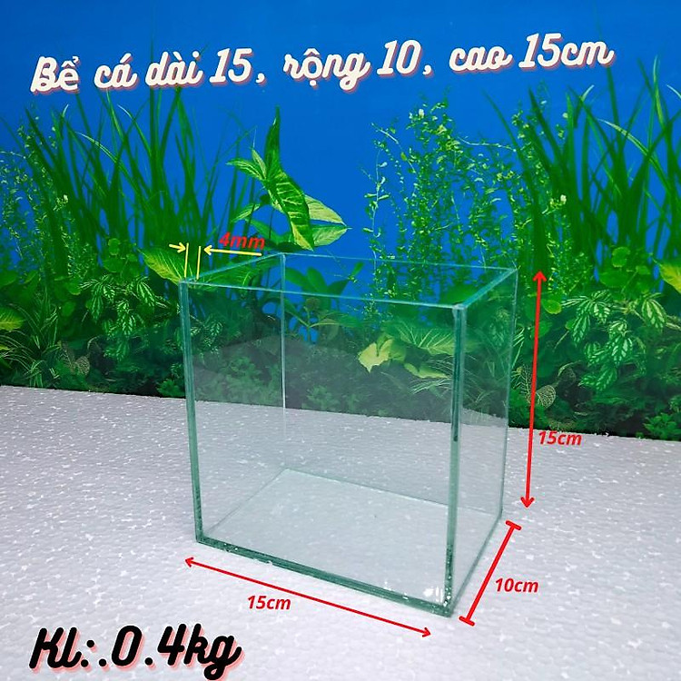 Bể cá mini , Nhiều kích thước lựa chọn, đầy đủ phụ kiện trang trí.