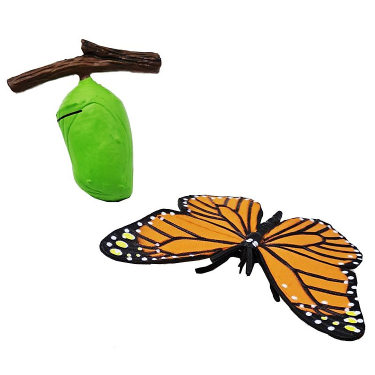 Mua Đồ Chơi Mô Hình Bướm - Firstar DK81253 Chính hãng Tiết kiệm - Hình ảnh 4