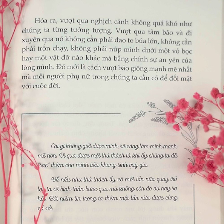 Hoa Trên Đá - Ảnh 5