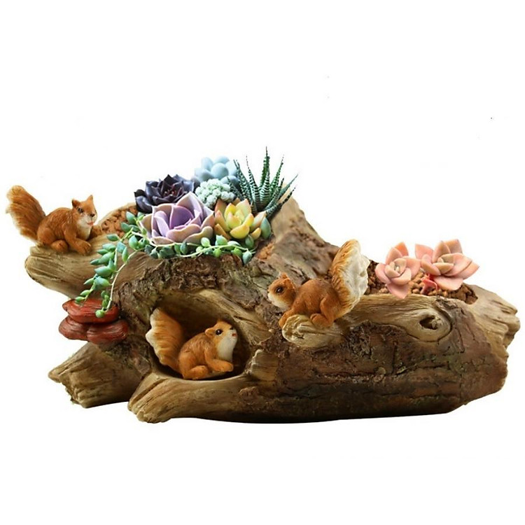 Mẫu chậu cảnh hình tổ sóc thích hợp trang trí tiểu cảnh, bonsai Cute Room