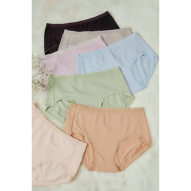 Quần lót nữ Jintana Thái cotton thun lạnh lưng cao mẫu trơn đơn giản