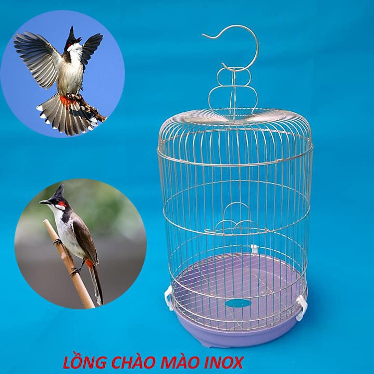 Lồng nuôi chim chào mào inox size 30 x 70 cm