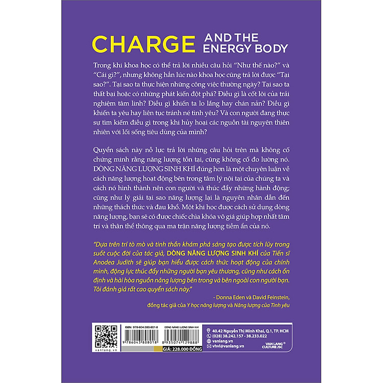 Dòng Năng Lượng Sinh Khí - Ảnh 4