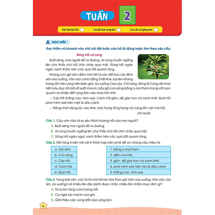 Phiếu Bài Tập Cuối Tuần Tiếng Việt 3 - Ảnh 2