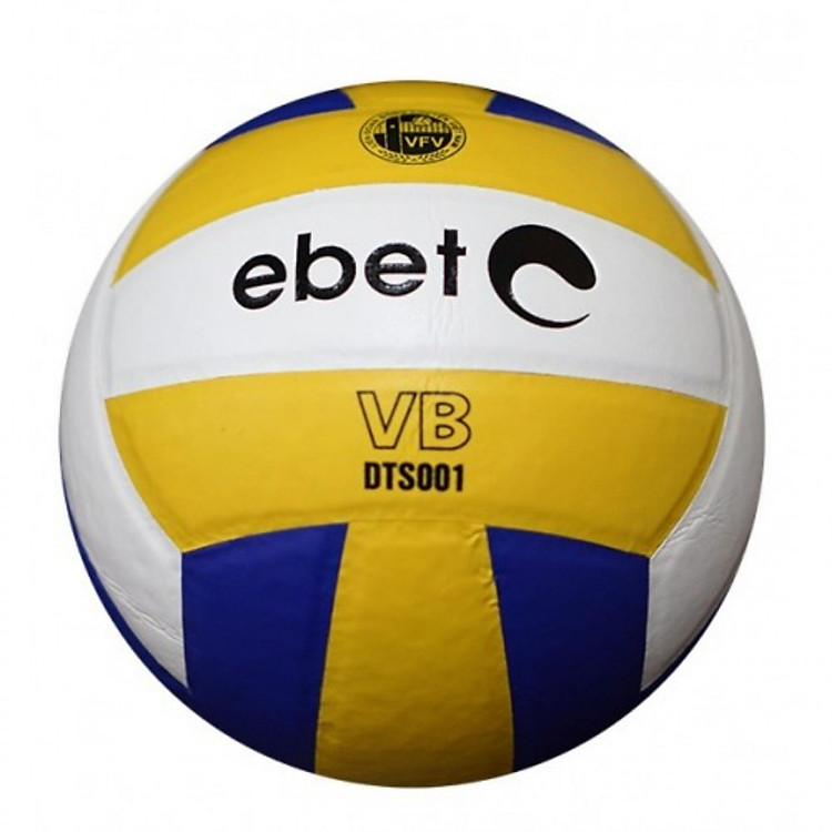 Quả Bóng Chuyền Động Lực DTS001