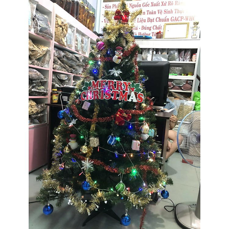 Cây thông noel màu xanh cao 150cm - Ảnh 2