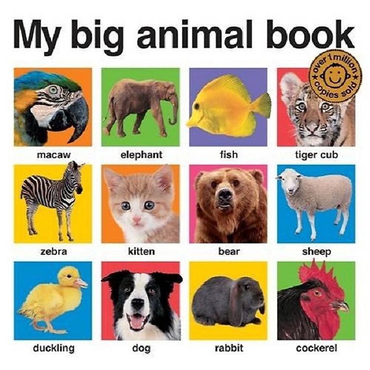 My Big Animal Book (My Big Board Books)