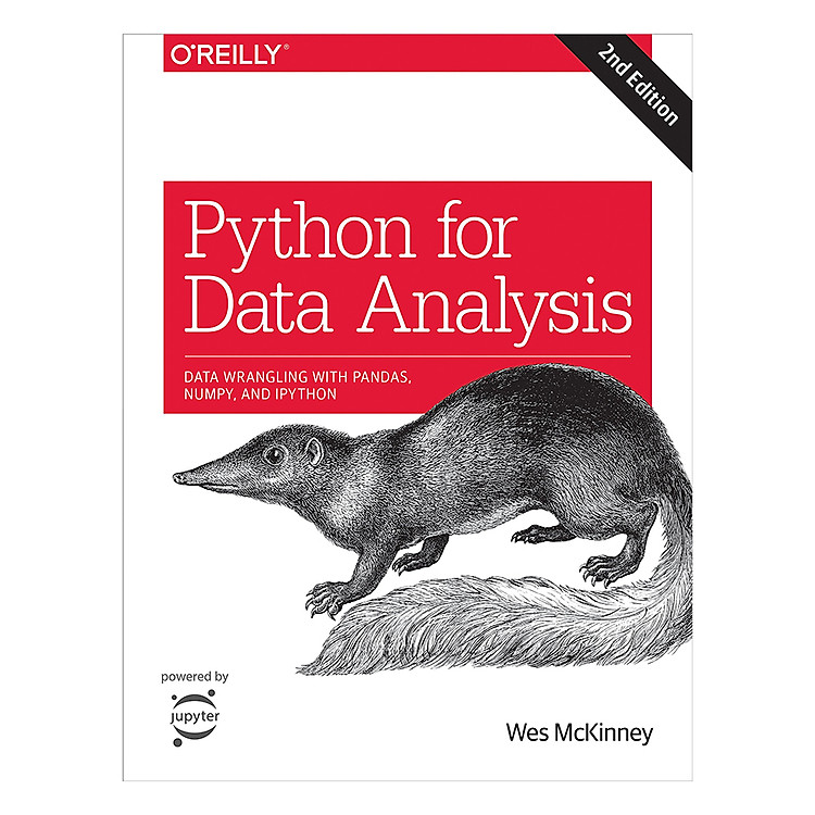 Python For Data Analysis, 2E