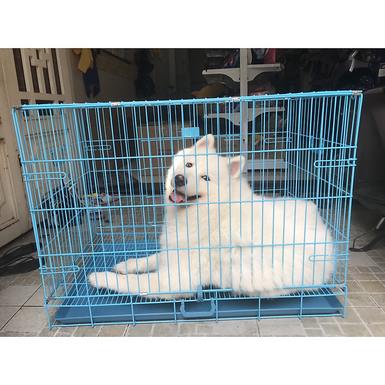 Chuồng chó sơn tĩnh điện Xudapet - giao màu ngẫu nhiên - XDP01CCSTD