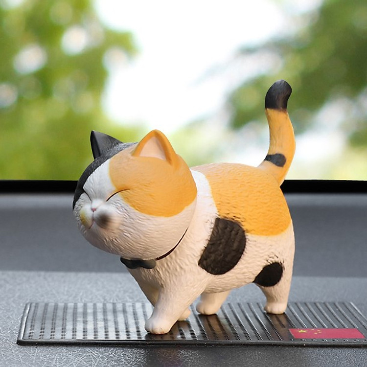 Mèo Hoàng Thượng Đa Sắc Thái