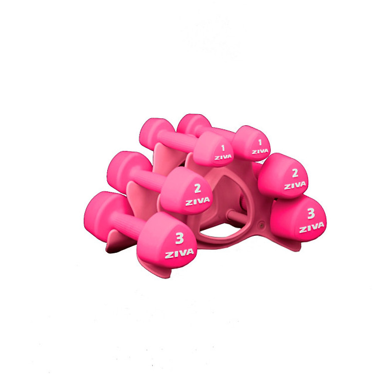 Bộ 3 Cặp Tạ Tay Tam Giác Kèm Giá Đỡ ZIVA Studio Tribells 12 kg Set (1, 2, 3 kg Pairs) with Stand