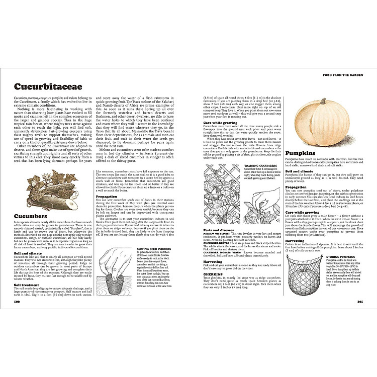 The Complete Book Of Self-Sufficiency - The Classic Guide For Realists And Dreamers - Ảnh 2