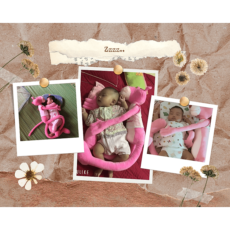 Mua Báo hồng gấu bông khổng lồ dễ thương Chính hãng Giá tốt - Hình ảnh 5