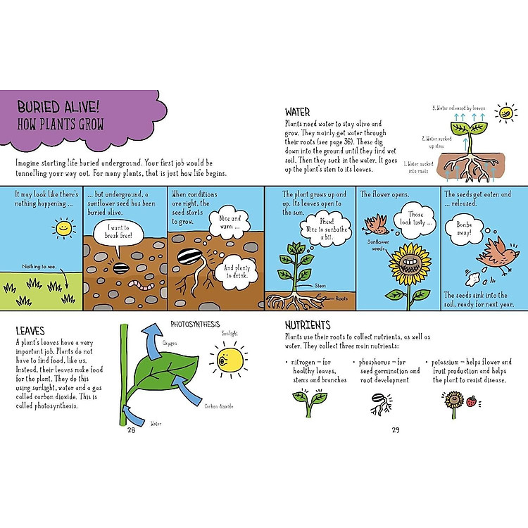 Comic Strip Science - Biology - Ảnh 6