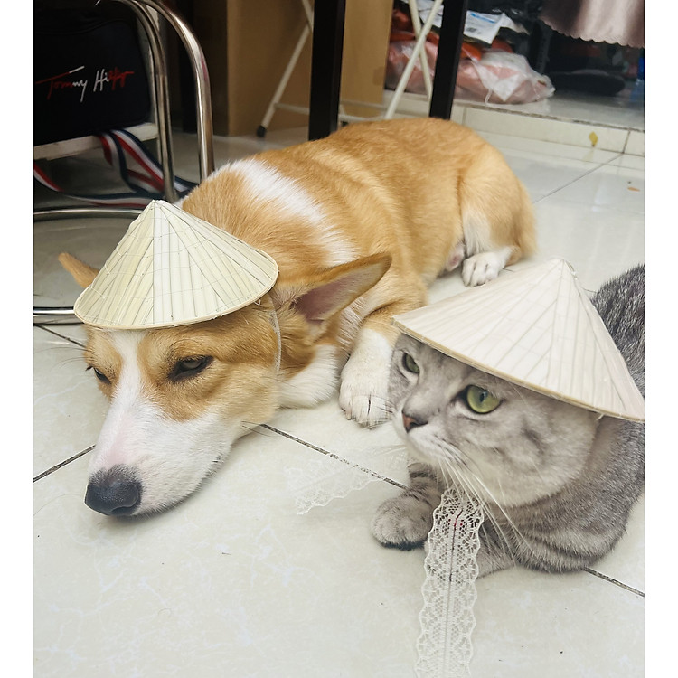 NÓN CHO CHÓ MÈO - Nón lá cho chó mèo - Mũ cho chó mèo