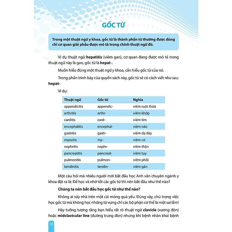 Thuật Ngữ Tiếng Anh Chuyên Ngành Y Khoa Cho Người Mới Bắt Đầu - Đơn Giản, Dễ Hiểu, Dễ Áp Dụng - Ảnh 3