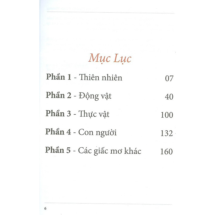 Ý Nghĩa Các Giấc Mơ - Ảnh 2