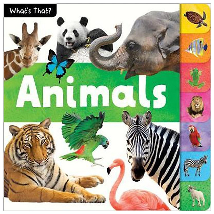Whats That Tabbed Animals