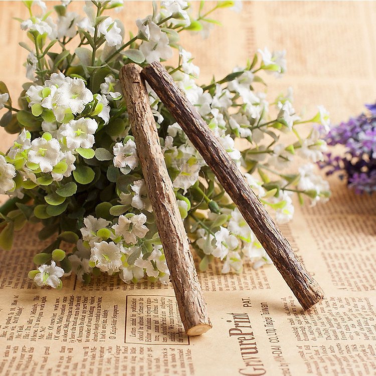 Cây gỗ yêu thích của mèo cho mèo gặm đỡ ngứa răng - túi 2 cây