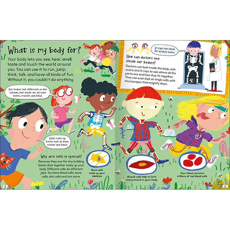 Curious Questions & Answers About My Body - Ảnh 2