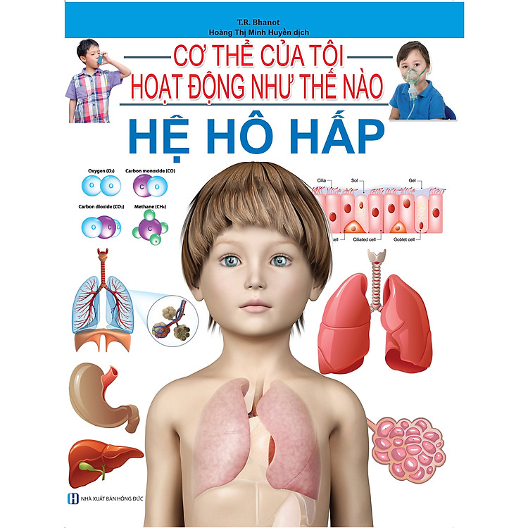 Cơ Thể Của Tôi Hoạt Động Như Thế Nào – Hệ Hô Hấp