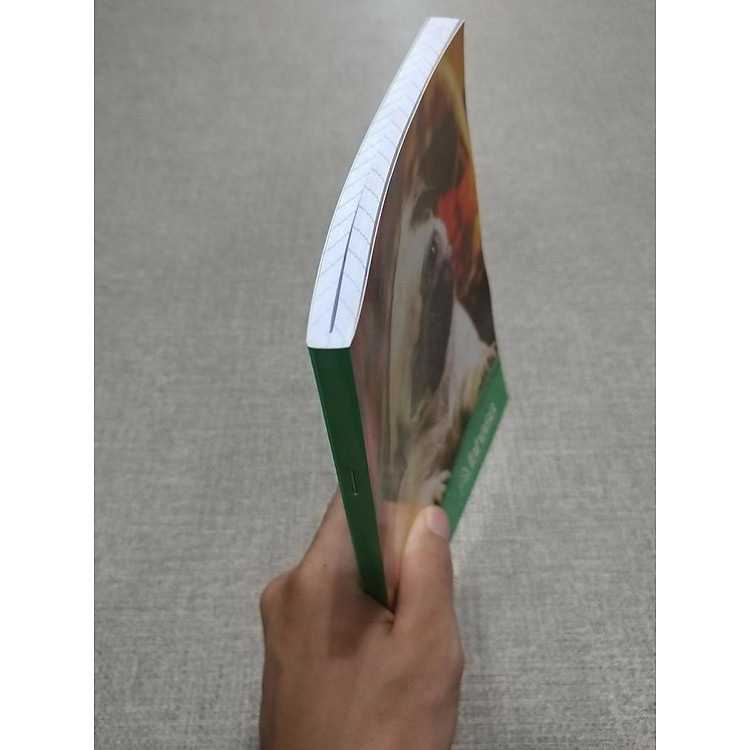 Tập 4 Ly Ngang 200 Trang ĐL 60g/m2 - Ảnh 7