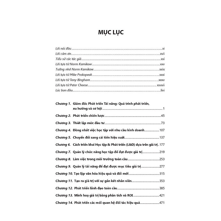 Giám Đốc Phát Triển Tài Năng - Ảnh 3